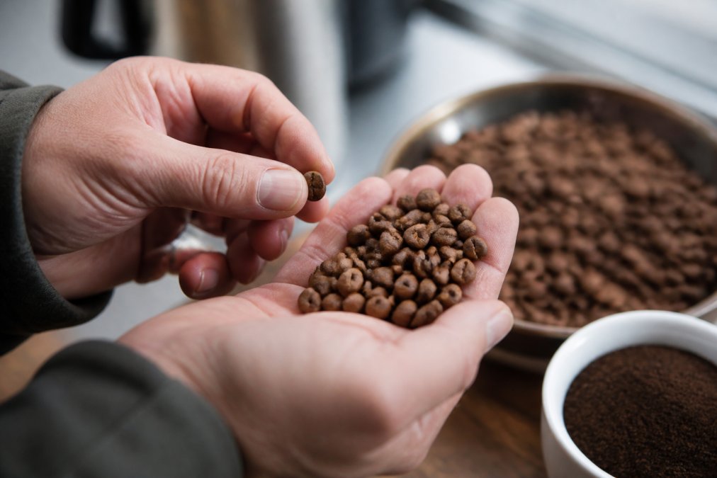 How to Tell If Coffee Beans Are Fresh